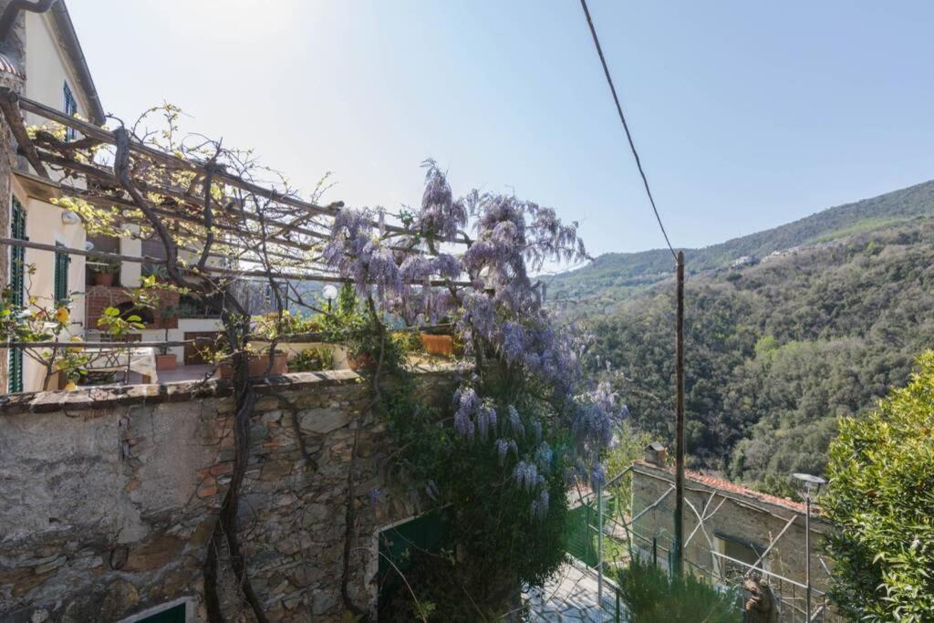 La Casa Di Sandra A Noli Villa Exterior photo